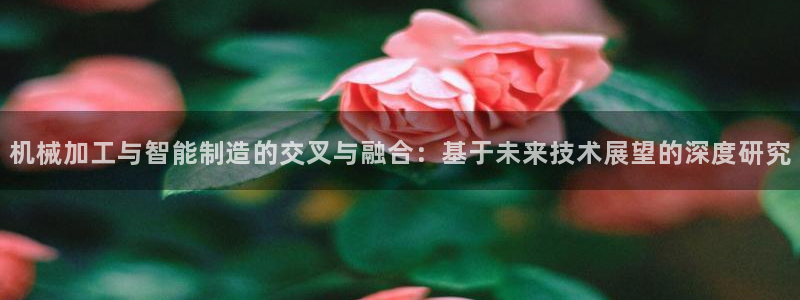 乐发 il彩票平台入口