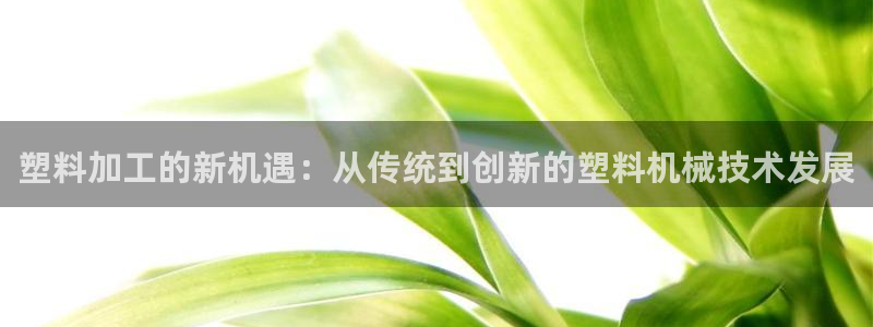 乐发viii平台 首页