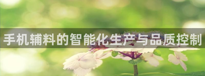 乐发平台注册资金多少