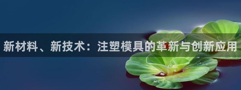 乐发国际 皇恩a平台