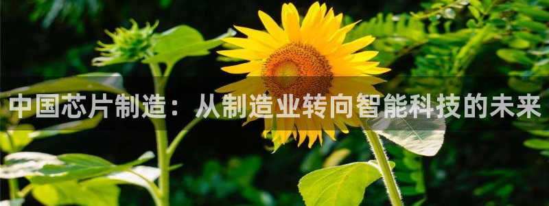 乐购平台发券