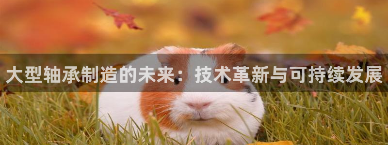 乐发国际平台客服电话