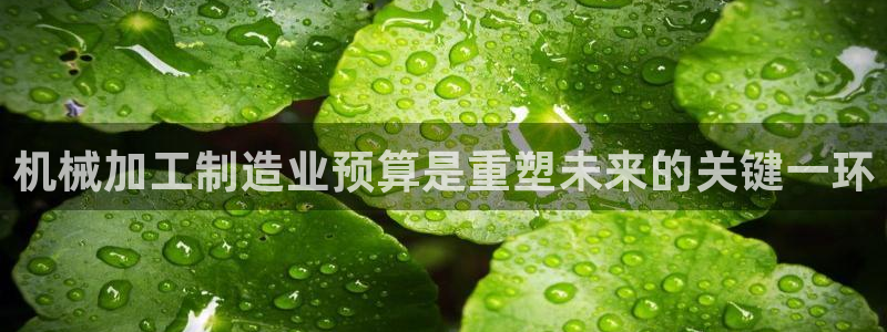 乐发大小平台