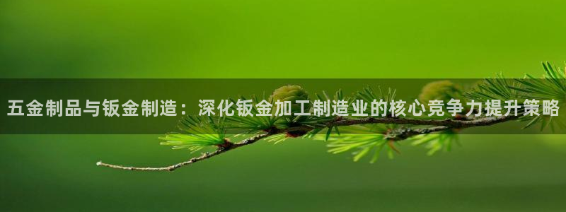 乐发平台怎么换邀请码