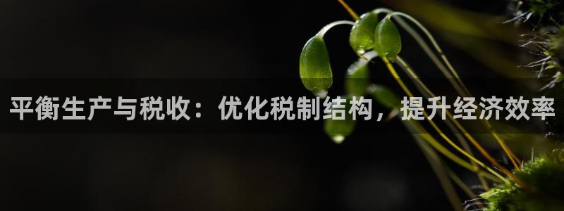 棋乐棋牌平台浦发棋牌