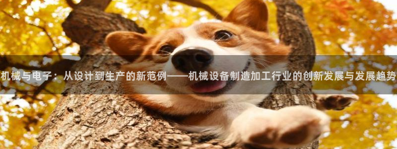乐享发圈平台