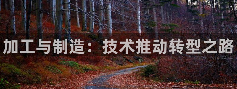 乐发平台黑吗