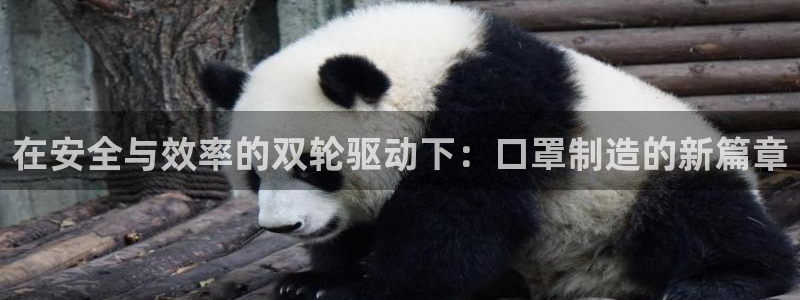 乐发平台为什么打不开了