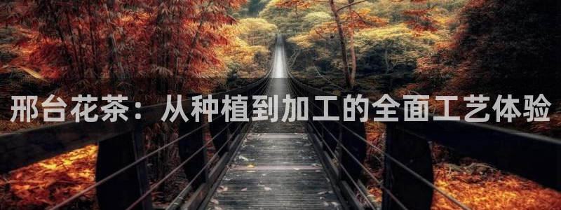 乐发快三彩票平台怎么样