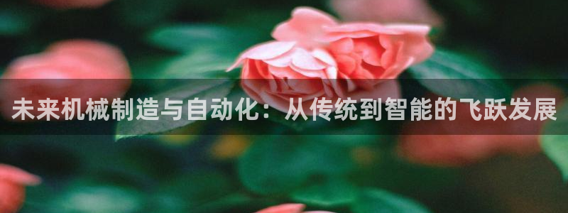 乐发彩票平台网址是多少