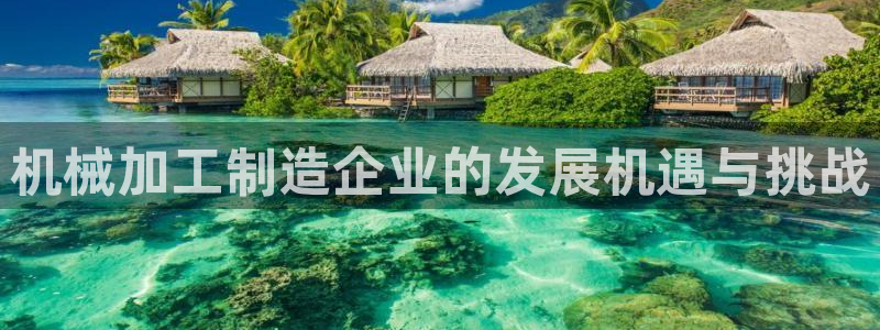 大发云系统彩票平台乐发