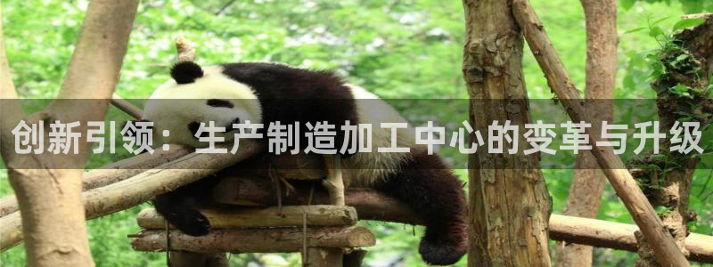 乐发1彩票平台