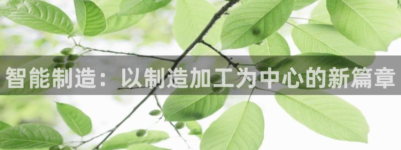乐发平台彩票官网