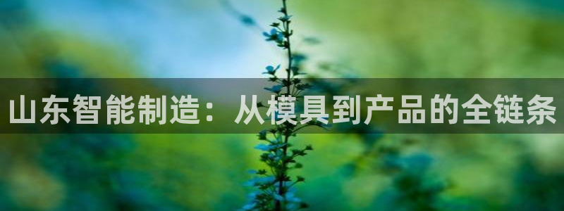 乐赚发圈平台