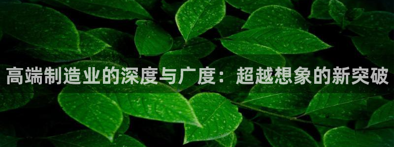 乐发彩票平台网址查询
