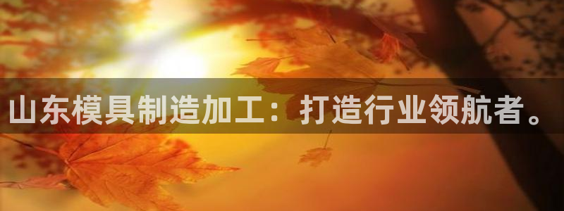 乐发传媒是怎样的平台