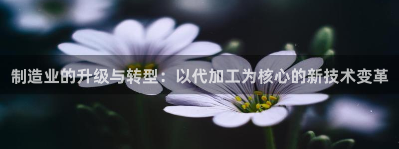 乐发v彩票平台