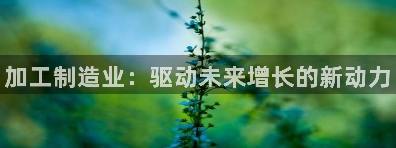 乐发彩票是什么平台啊