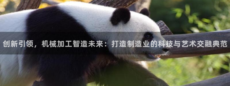 必乐2平台指尖发