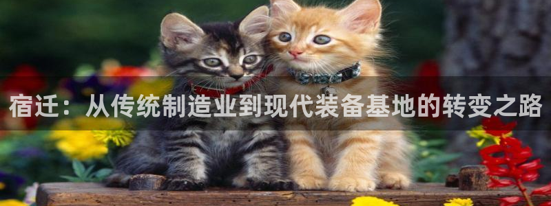 乐发平台今天咋打不开