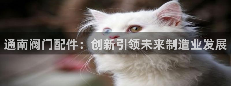 乐发l官方平台