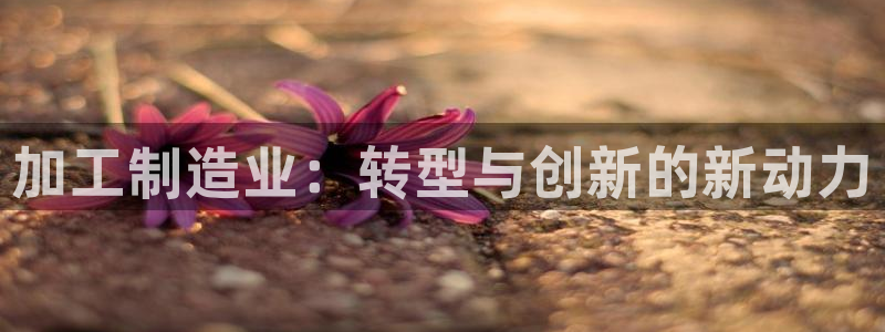 乐发ll彩票平台