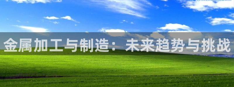 乐发Iv彩票官方平台