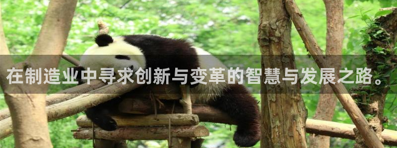 乐发平台赚钱技巧