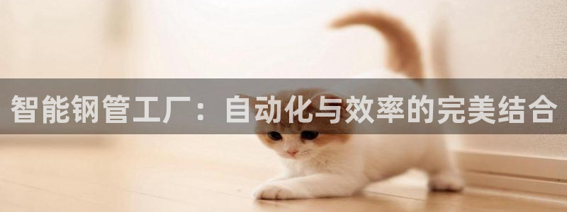 乐发彩票平台网址