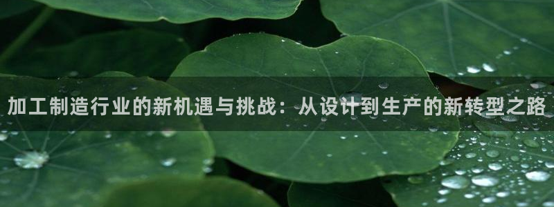 乐发彩票是什么平台啊