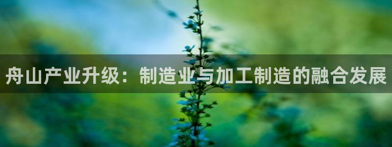 乐发平台a