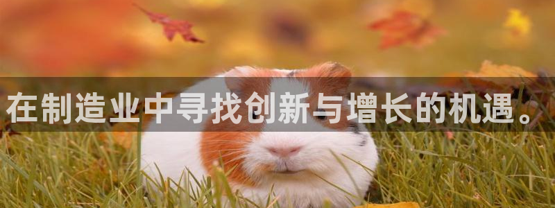乐赚发圈平台是真的吗