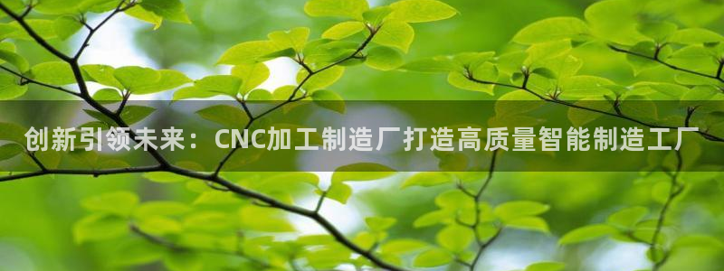 乐发旗下的平台有多少个
