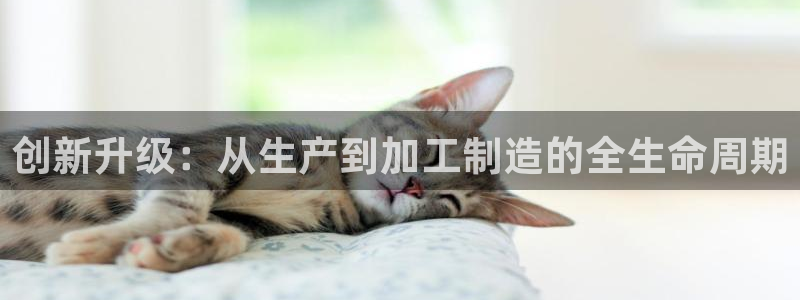 乐发传媒平台放单