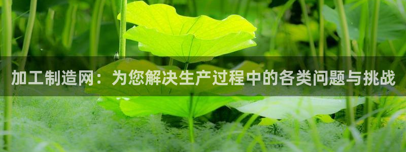 乐发彩票平台入口