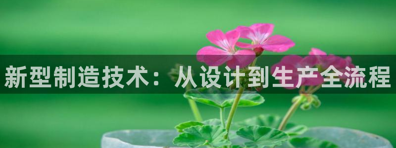 乐发平台注册地址在哪里