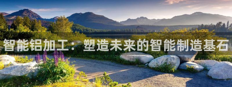 乐发彩票平台入口官网