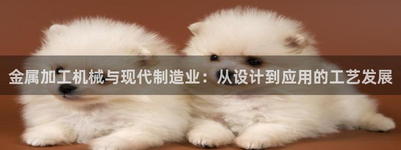 乐发彩票vll平台