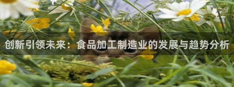 乐发彩票vll平台