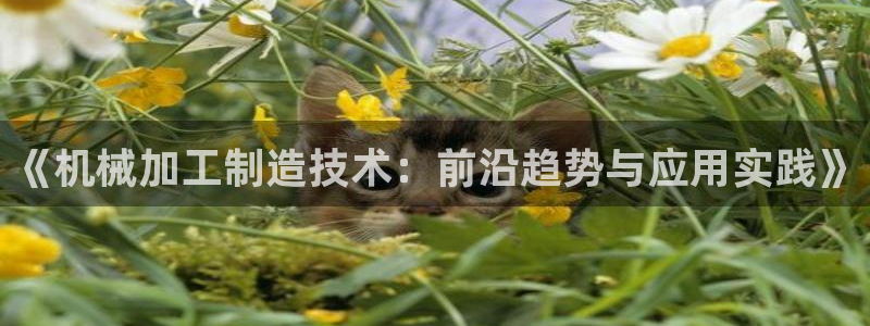 乐发平台赚钱技巧有哪些