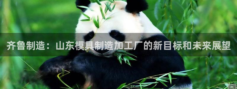 乐发1平台下载安装