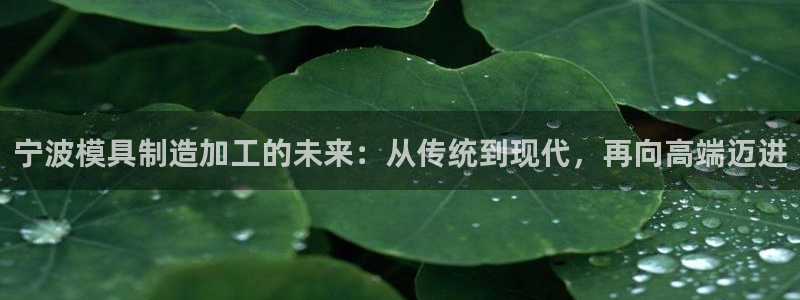 乐发平台手机版下载