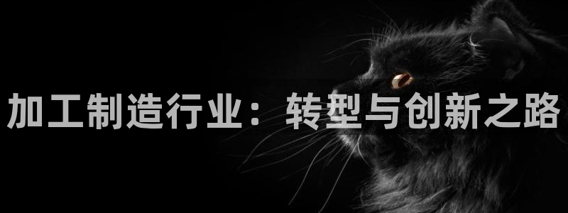 乐发国际官网平台