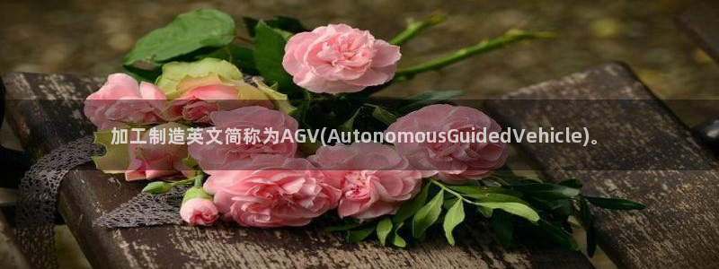 发乐发彩票平台注册码