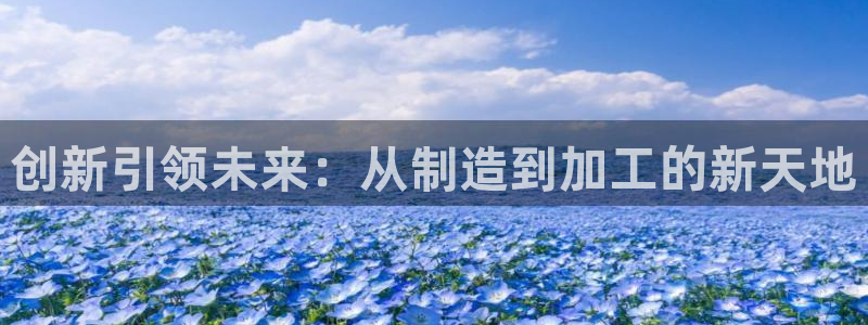 乐发彩票平台wx17 com