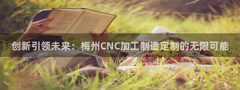 乐发vll彩票平台