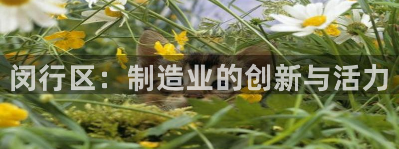 乐发vll平台靠谱嘛