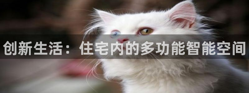 乐发lv官方平台电话